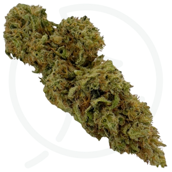 LEMENTOS CBD - BIO – Image 3