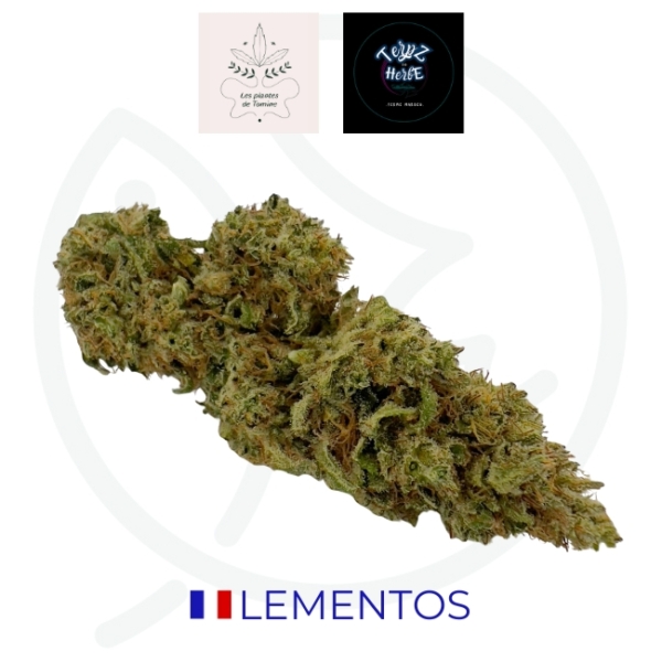 LEMENTOS CBD - BIO