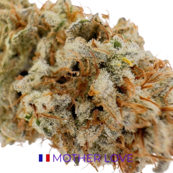 MOTHER LOVE CBD - INDOOR – Image 2