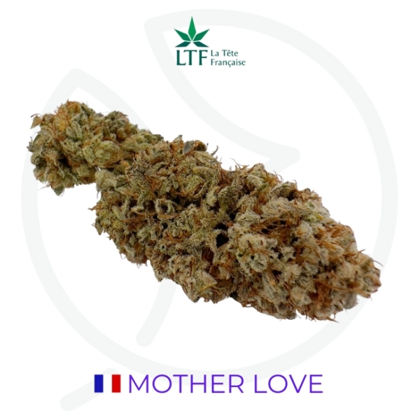 MOTHER LOVE CBD - INDOOR