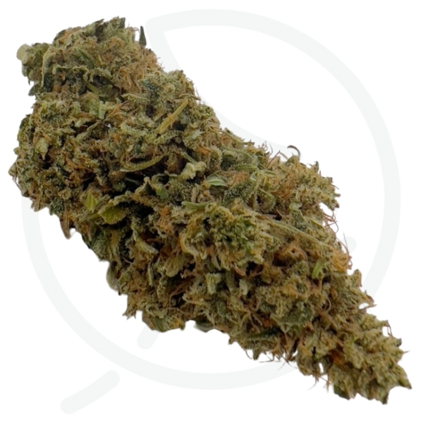 PINEAPLLE HAZE CBD - INDOOR – Image 3
