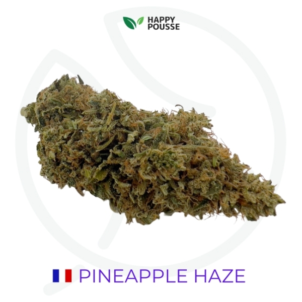 PINEAPLLE HAZE CBD - INDOOR