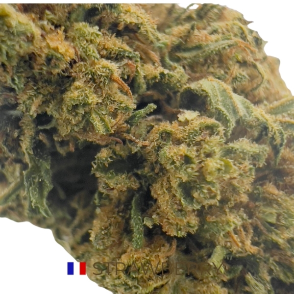 STRAWBERRY CBD - OUTDOOR – Image 2