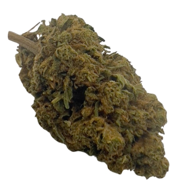 STRAWBERRY CBD - OUTDOOR – Image 3