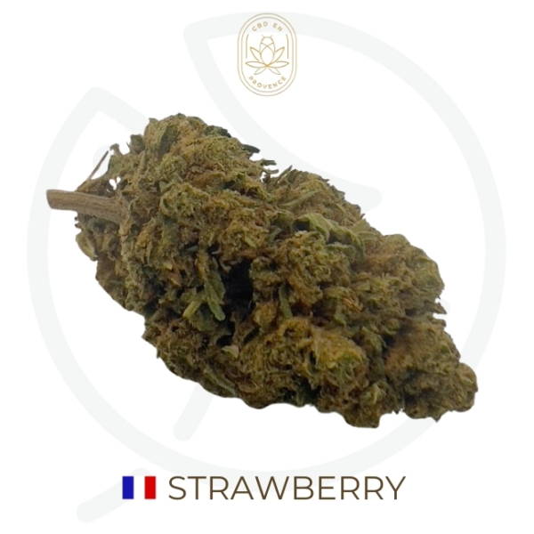 STRAWBERRY CBD - OUTDOOR