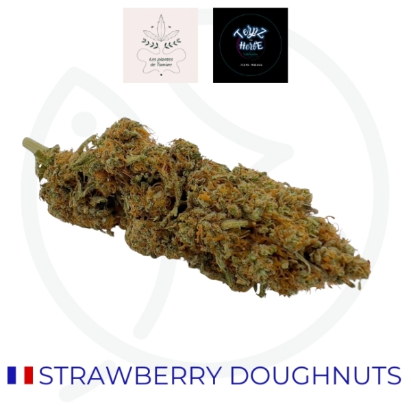 STRAWBERRY DOUGHNUTS CBD - BIO