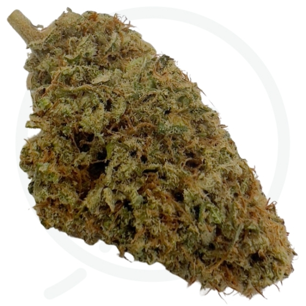 SWEET PARADISE CBD - INDOOR – Image 3
