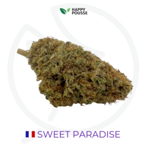 SWEET PARADISE CBD - INDOOR