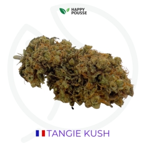 TANGIE KUSH CBD - INDOOR