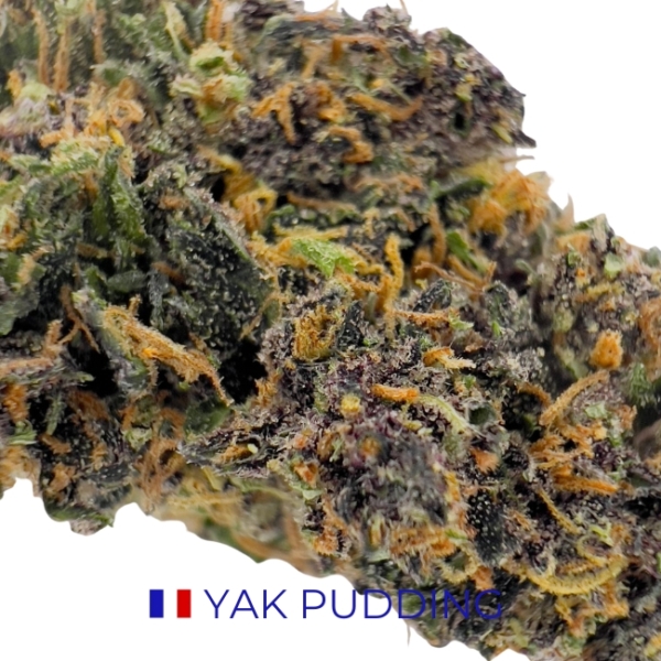 YAK PUDDING CBD - BIO – Image 2