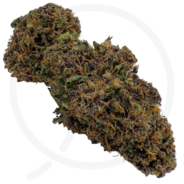 YAK PUDDING CBD - BIO – Image 3