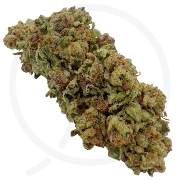 LEGENDARY SKUNK ORIGINAL CBD - GREEN HOUSE - LIGHT DEP – Image 3