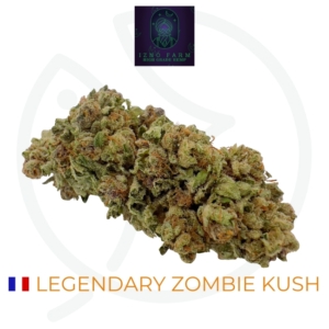 LEGENDARY ZOMBIE KUSH CBD - GREEN HOUSE - LIGHT DEP