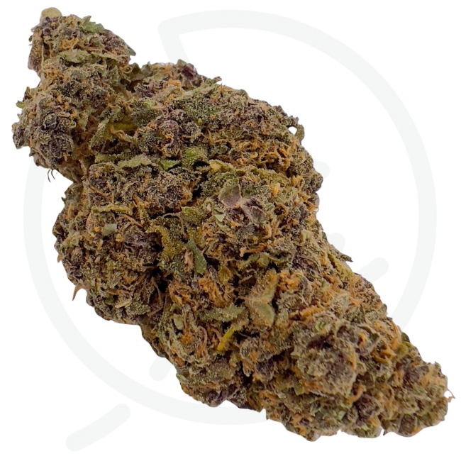 PEACH TART CBD - INDOOR – Image 3