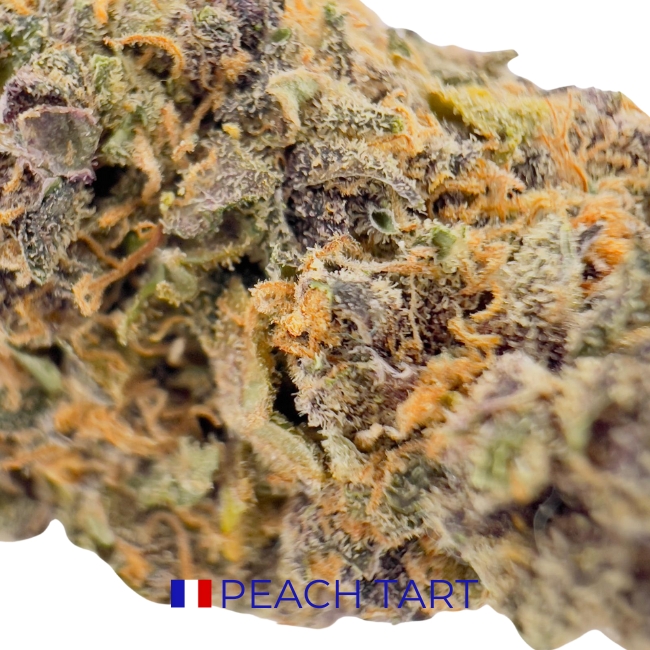 PEACH TART CBD - INDOOR – Image 2
