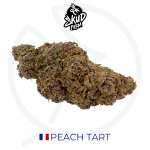 PEACH TART CBD - INDOOR