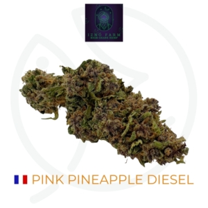 PINK PINEAPPLE DIESEL CBD - LIVING SOIL