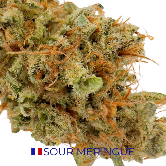 SOUR MERINGUE - GREEN HOUSE – Image 2