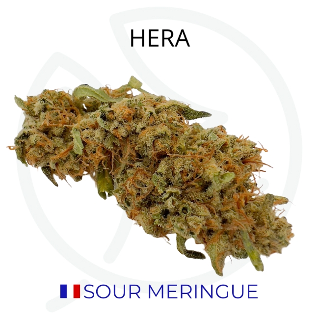 SOUR MERINGUE - GREEN HOUSE