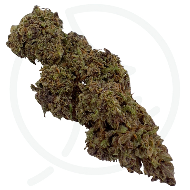 CHATEAU IZNO CBD - LIVING SOIL – Image 3