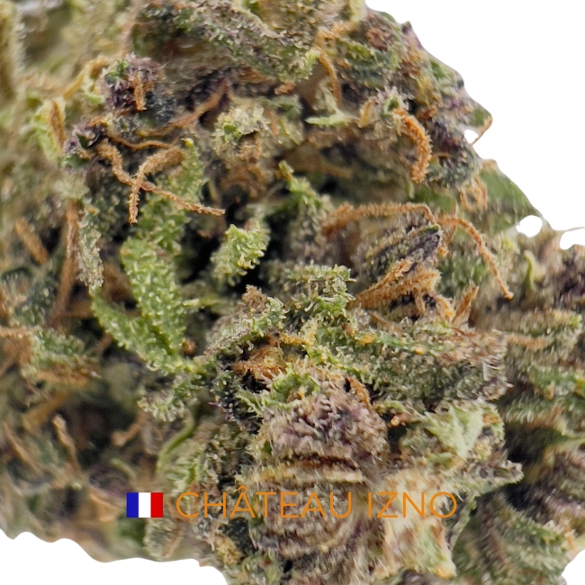 CHATEAU IZNO CBD - LIVING SOIL – Image 2