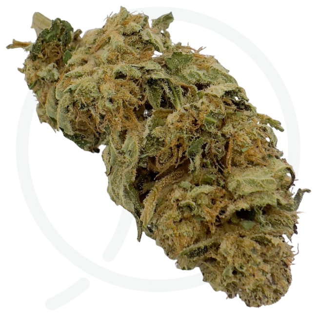 DARK SAPHIR CBD - GREEN HOUSE – Image 3