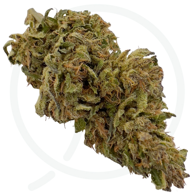 KUSH MYRTILLE CBD - SOL VIVANT - BIO – Image 3