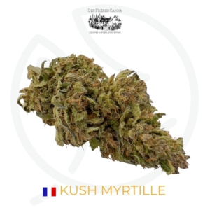 KUSH MYRTILLE CBD - SOL VIVANT - BIO