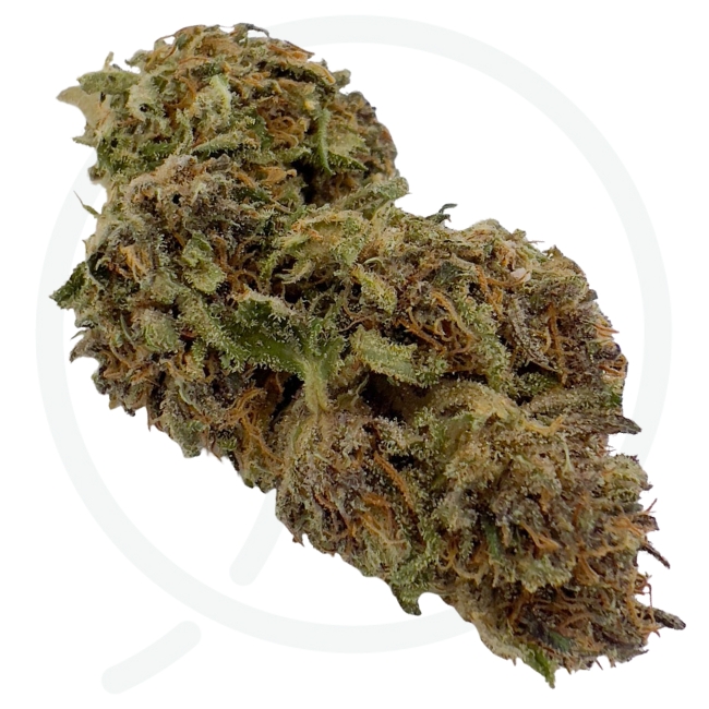 RAINBOW KUSH CBD - LIVING SOIL – Image 3